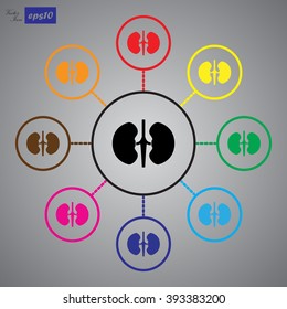 Human kidneys icon