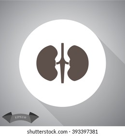 Human kidneys icon