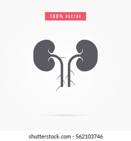 Human kidneys icon