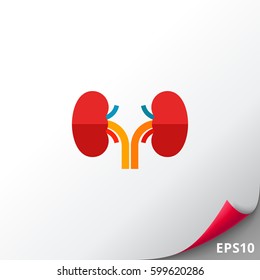 Human Kidneys Icon