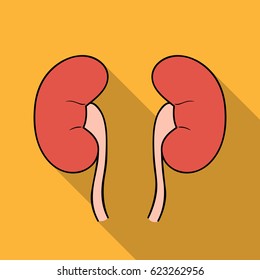 Human kidneys icon in flat style isolated on white background. Human organs symbol stock vector illustration.