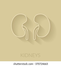 Human kidneys icon. Medical concept. Vector illustration
