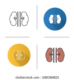Human kidneys icon. Urinary system. Flat design, linear and color styles. Isolated vector illustrations
