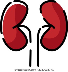 5,790 Spleen kidney Images, Stock Photos & Vectors | Shutterstock