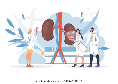 Human Kidneys Inspection, Inner Organ Disease Treatment. Pharmacy Research System, Educational Physiology Study. Doctor Nephrologists Team In Uniform. Nephrology Urology Medicine Concept