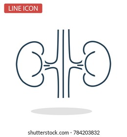 Human kidneys line icon for web and mobile design