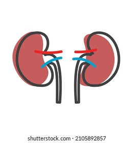 Human kidneys linear icon. Internal organs. Anatomy urology or nephrology logo. Vector illustration isolated on white background.