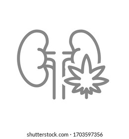 Icono de la línea de los riñones humanos con hoja de marihuana. Tratamiento con cannabis, símbolo de anestesia