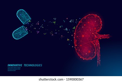 Human kidneys medicine treatment concept. Medical help therapy treatment. Urinary system cancer abdomen prevention poster template. Drugstore pill 3D vector illustration