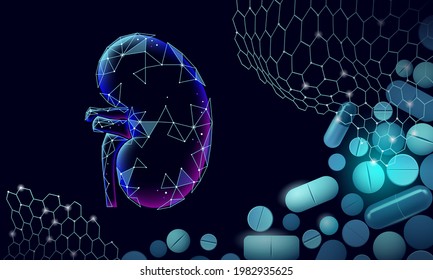 Human kidneys medicine treatment concept. Medical help therapy treatment. Urinary system cancer abdomen prevention poster template. Drugstore pill 3D vector illustration