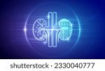 Human Kidneys, Nephrology, Perfusion, Dialysis, Hemodynamics, Urinary System, Cybernetic Futuristic Robotic Circuit Board Translucent Neon Glow Medical Hologram Backdrop Background Illustration
