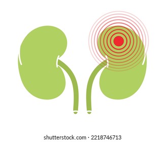 Human kidneys pain symbol. Kidneys ache icon. Vector illustration. Human body ache pain dot