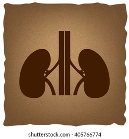 Human kidneys sign