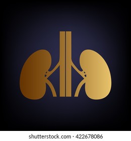 Human kidneys sign