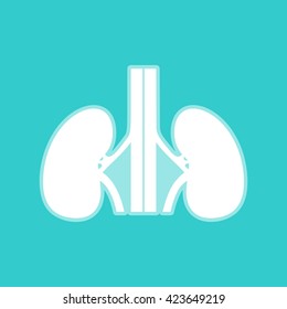 Human kidneys sign