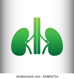 Human kidneys sign