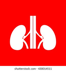 Human kidneys sign