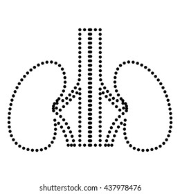 Human kidneys sign