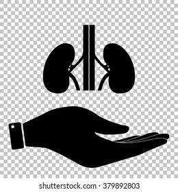 Human kidneys sign. Flat style icon vector illustration.