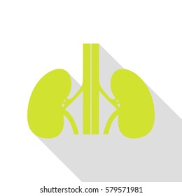 Human kidneys sign. Pear icon with flat style shadow path.