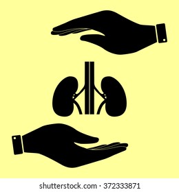 Human kidneys sign. Save or protect symbol by hands.
