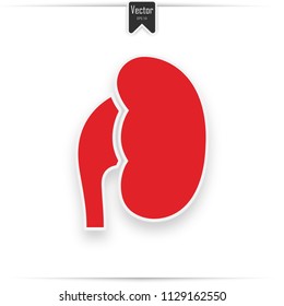 Human kidneys sign. Vector. Red icon with soft shadow on gray background.