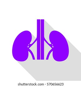 Human kidneys sign. Violet icon with flat style shadow path.