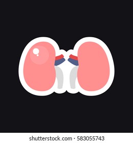 human kidneys, sticker. vector illsutration