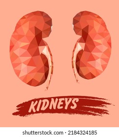 Human Kidneys In Triangulation Style. Human Kidney Isolated On Orange Background.