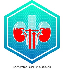 Human Kidneys Urinary System Healthy Translucent Glass Container Fluid Blood Filled Medical Icon Logo Pictogram Hexagon Isolated on White Background