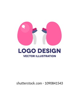 human kidneys vector icon