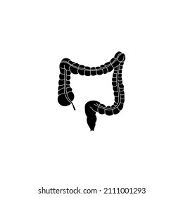 Human kidneys. Vector image. Isolated image.