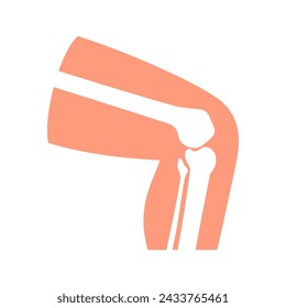 Human knee with bones and joints as in xray, medical chart vector illustration