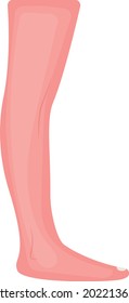 Human Knee And Foot Leg View Concept Vector color Icon Design, Organ System Symbol, Human Anatomy Sign, Human Body Parts Stock illustration