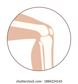 Human knee icon for clinic. Normal joints and bones anatomy in leg silhouette. Skeleton medical poster. Orthopedic or chiropractic treatment. Anatomical logo concept. Isolated flat vector illustration