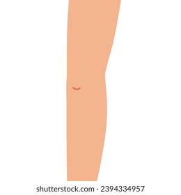 Human knee isolated on white background. Leg knee vector illustration in cartoon style. Learning body parts for kids