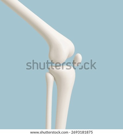 Human knee joint bones anatomy on blue background. Medical or healthcare concept. Vector illustration
