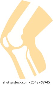Ilustración de la articulación de la rodilla humana. Adecuado para mostrar Imágenes de huesos normales de la rodilla y aquellos con problemas.