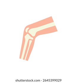 human knee joint side view diagnosis