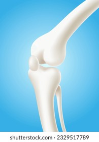 Human knee and leg bones isolated on light blue background. 3d realistic vector file.