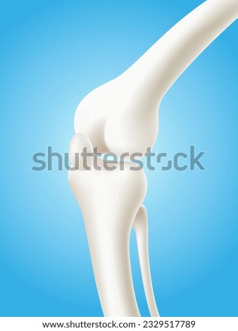 Human knee and leg bones isolated on light blue background. 3d realistic vector file.