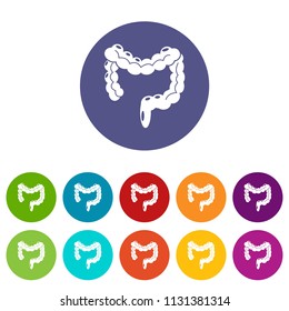 Human large intestine icons color set vector for any web design on white background