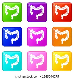 Human large intestine icons set 9 color collection isolated on white for any design