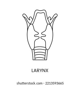 The Human Larynx Is A Line Icon In A Vector, An Illustration Of An Internal Organ.