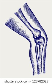 Human leg bones. Doodle style