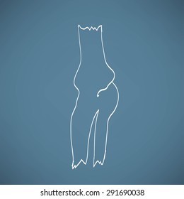 Human leg bones. Doodle style