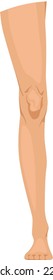 Human Leg. Female Limb Icon. Woman Body Part