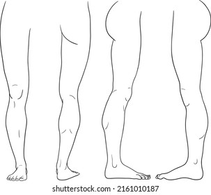 Human leg front back inner outer view vector illustration, male anatomy line art