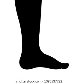 Human leg illustration isolated on white background