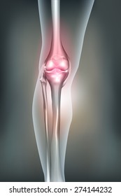 Human leg, knee anatomy, abstract grey mesh background